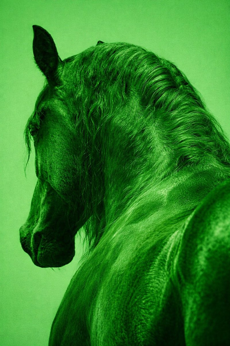 jefferson tweet media