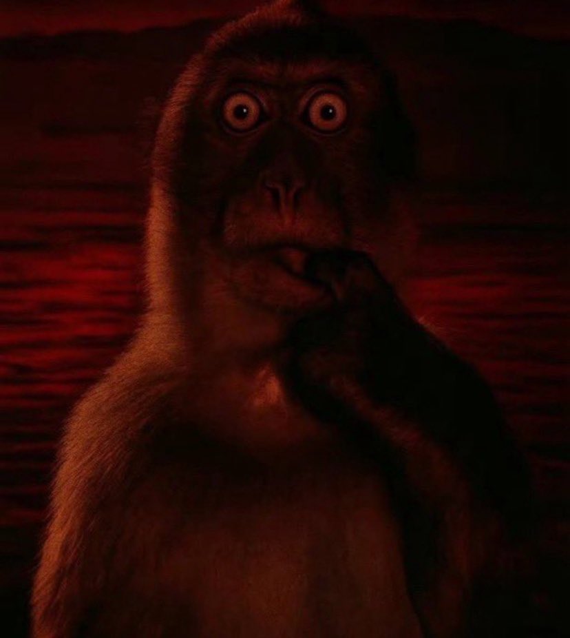 Tweeting things yk your oomf who deactivated would’ve liked….