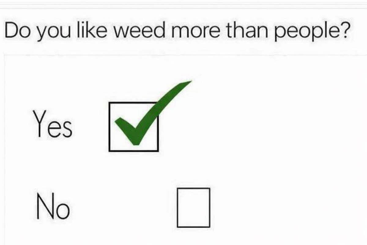 420matt9191's tweet photo. https://t.co/Lx6eNaKt6k