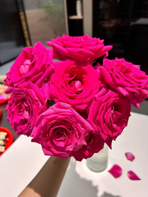 Arya9874's tweet photo. Received this beautiful bouquet of flowers, and my mood blossomed! Thank you for bringing such warmth and happiness into my day! 🌸📷 https://t.co/KFOUR6MaAj