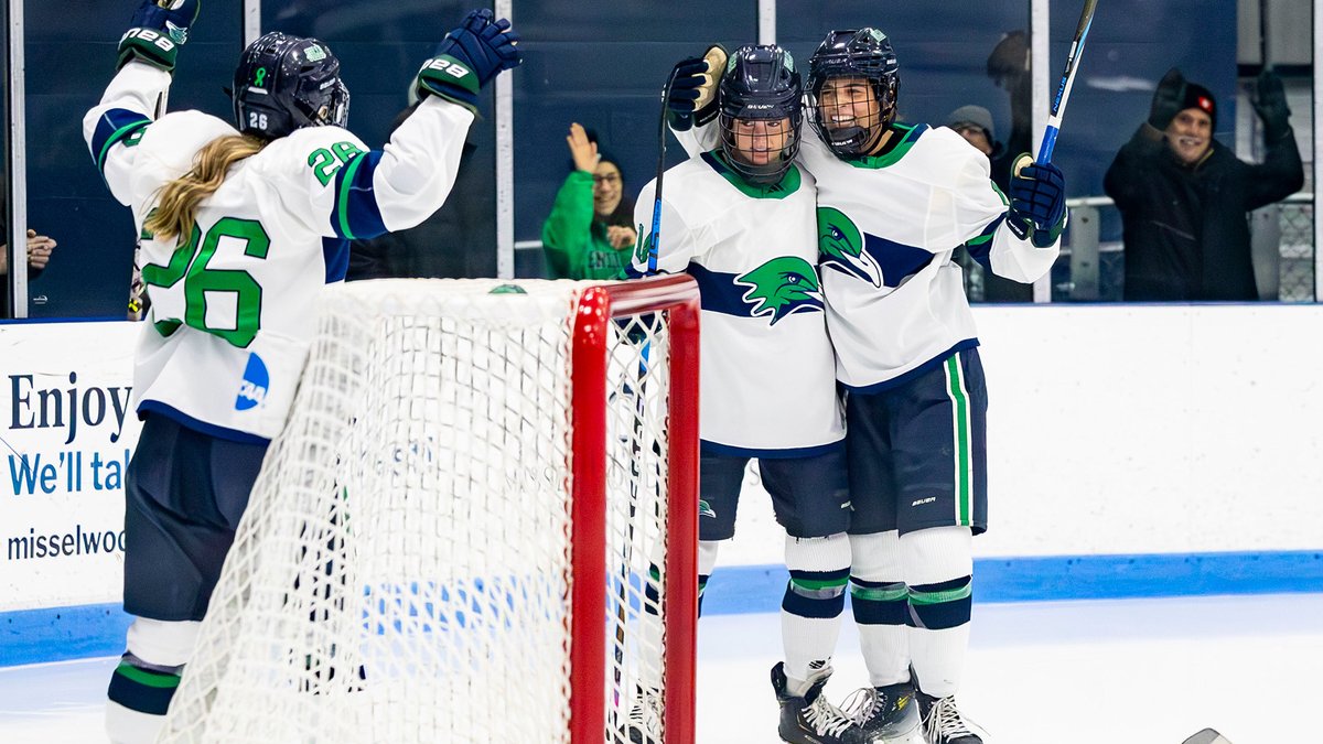 Endicott Athletics tweet media