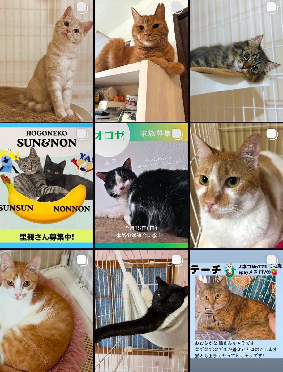 アチママ (@fv13125tEuVzJfo) / Posts / X