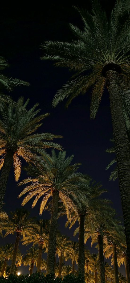 amazing wallpapers&arts⁰⁰ tweet media