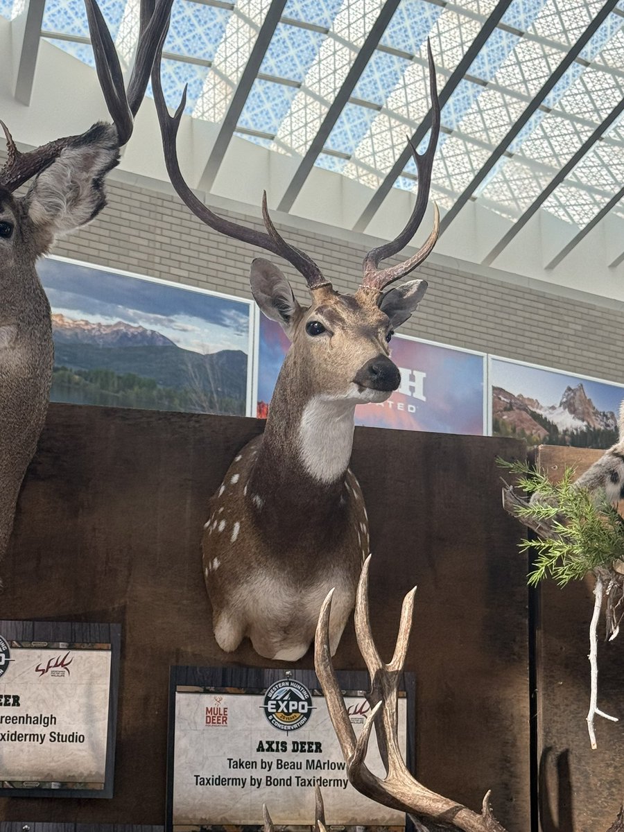 BeauKnows43's tweet photo. Solid Saturday. Western Hunt Expo in the AM. Ice Fishing in the PM. https://t.co/KkK6AXTjzs