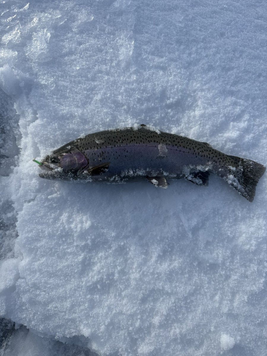 BeauKnows43's tweet photo. Solid Saturday. Western Hunt Expo in the AM. Ice Fishing in the PM. https://t.co/KkK6AXTjzs