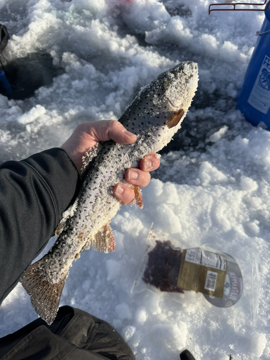BeauKnows43's tweet photo. Solid Saturday. Western Hunt Expo in the AM. Ice Fishing in the PM. https://t.co/KkK6AXTjzs