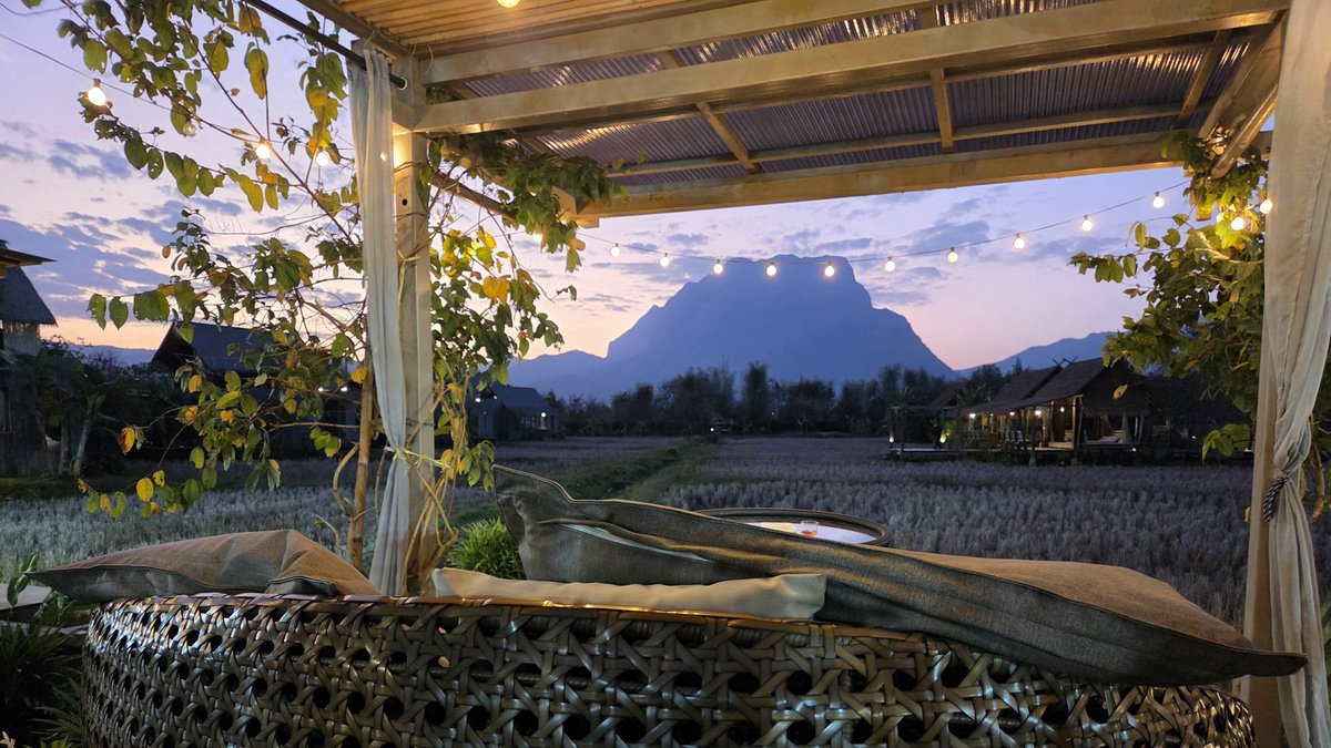 FattyNatsu tweet media