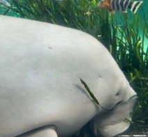 LABLtd's tweet image. 愛は美しいです ☹️