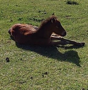 Robin_Mu's tweet image. 7時に掃除 👨‍🦳