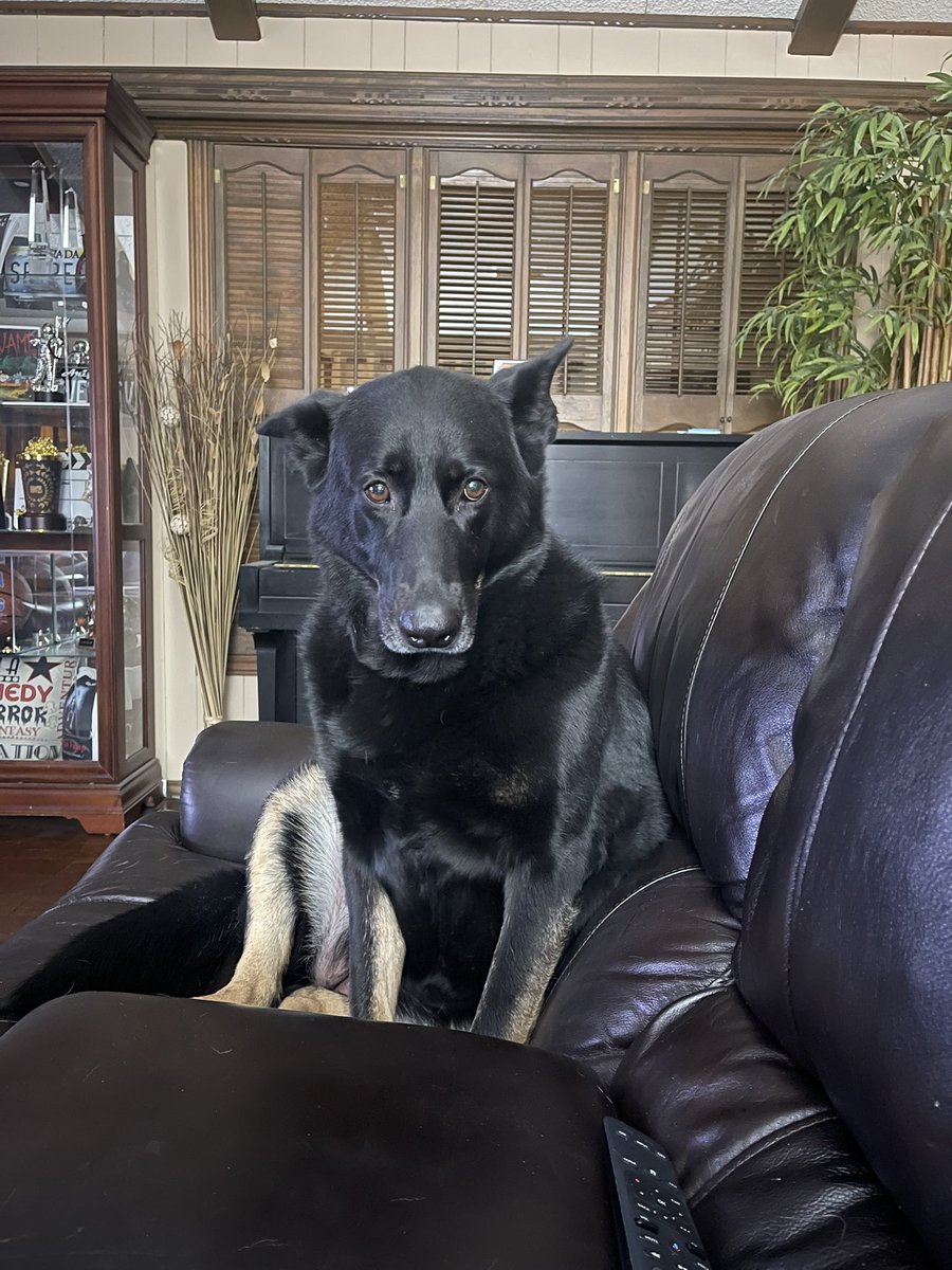 🇺🇸 🦅 Cescilia Kiss 🦅🇺🇸 tweet media