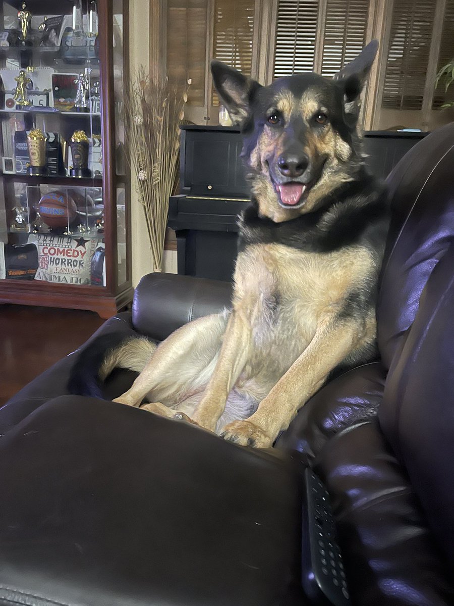 🇺🇸 🦅 Cescilia Kiss 🦅🇺🇸 tweet media