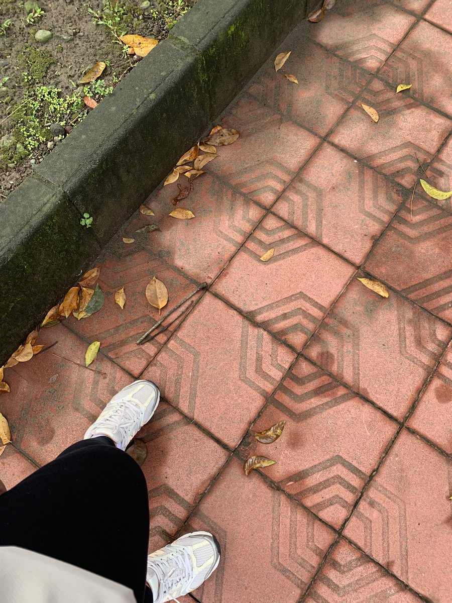 𝓡𝓮𝓽𝓪𝓪 🌺 tweet media