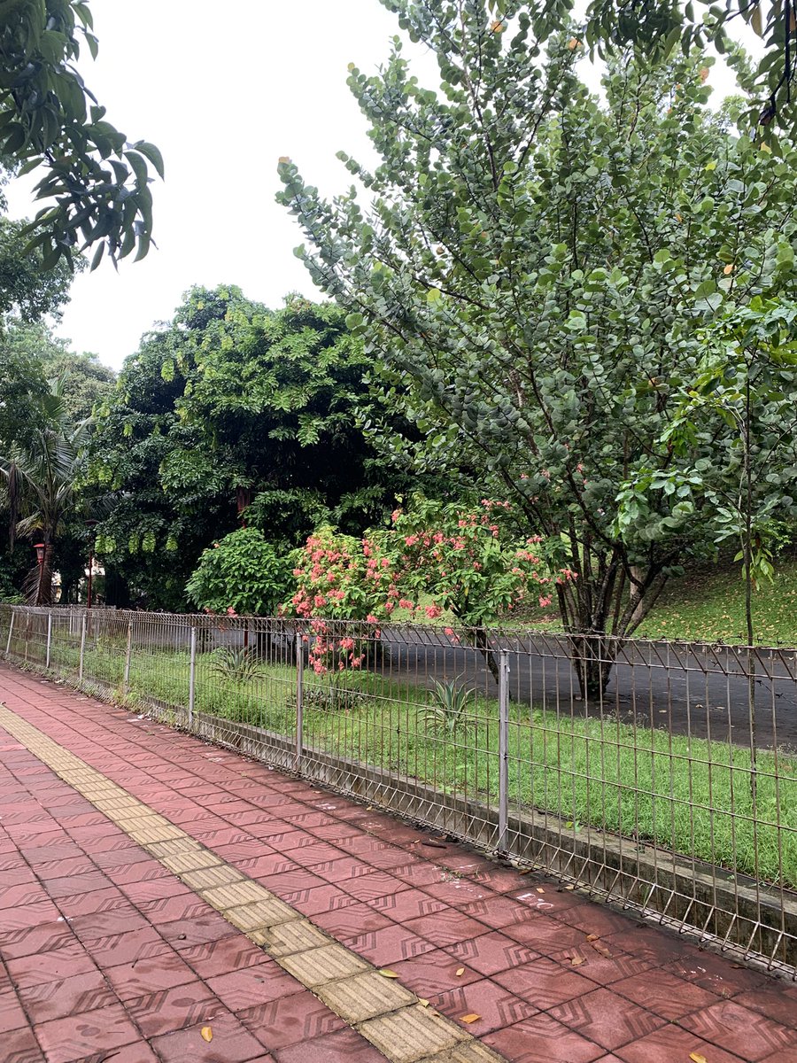 𝓡𝓮𝓽𝓪𝓪 🌺 tweet media