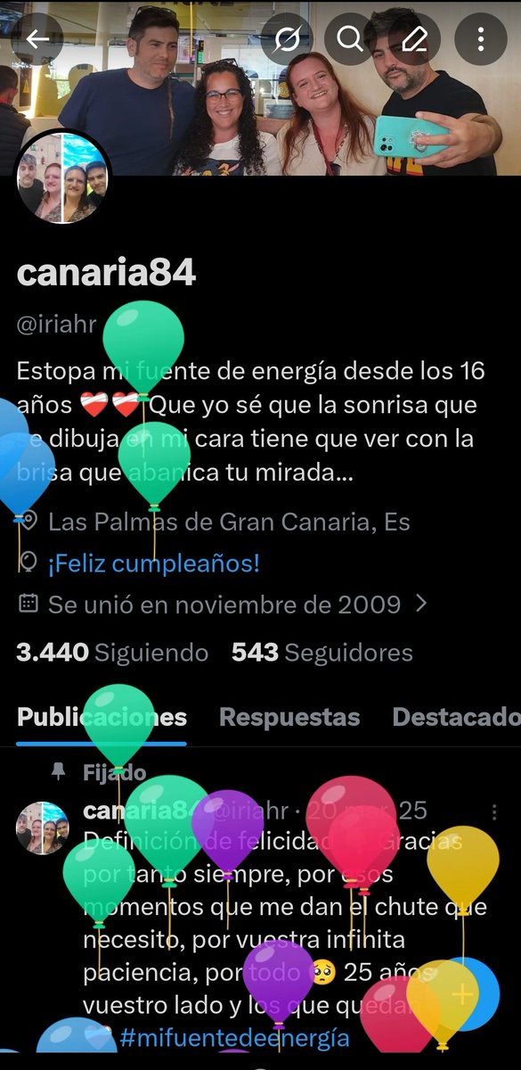 canaria84 tweet media