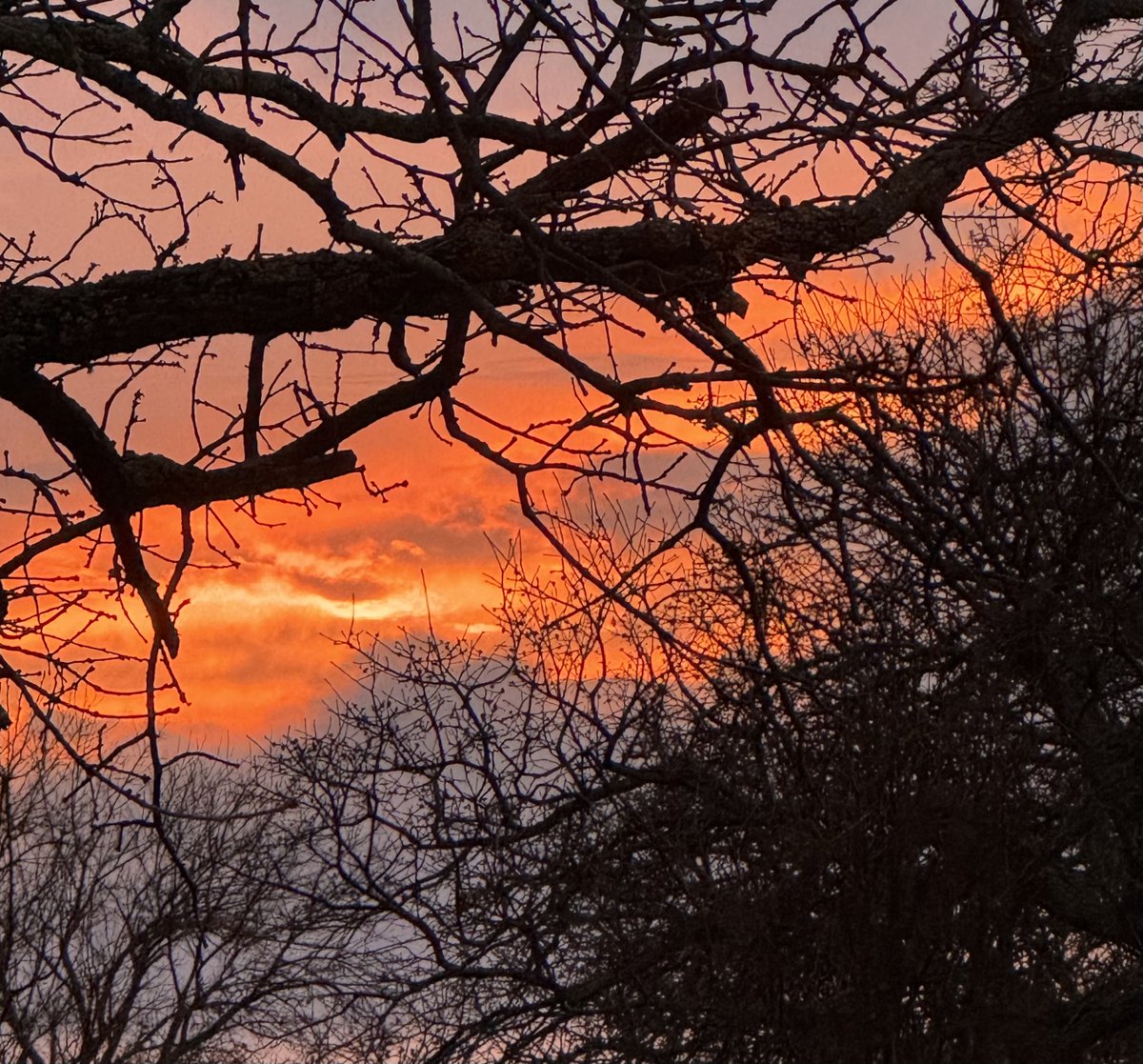Have a great night everyone 💛🧡