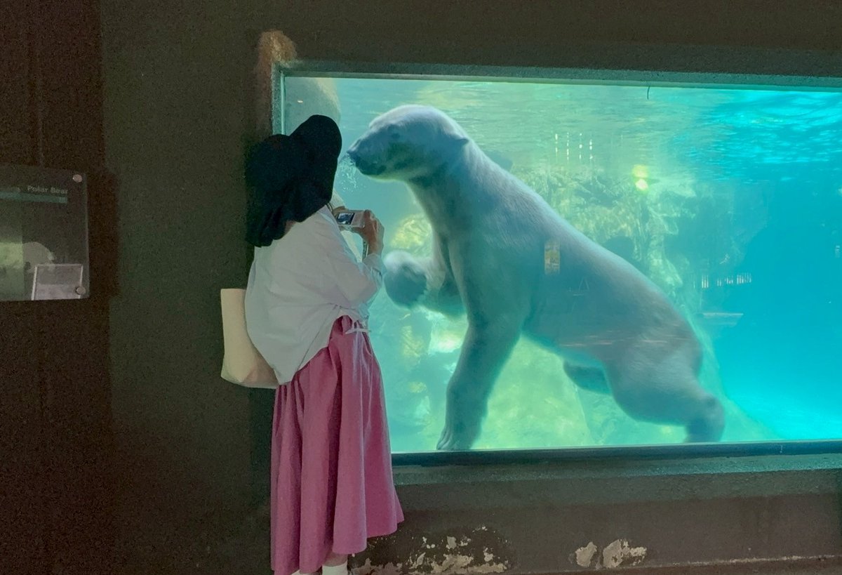 #TLをゴーゴでいっぱいにしよう 
こーんなに近くにいるゴーゴ🩷
嬉しかったなぁ
ゴーゴに会いたいよ
2026.2.15