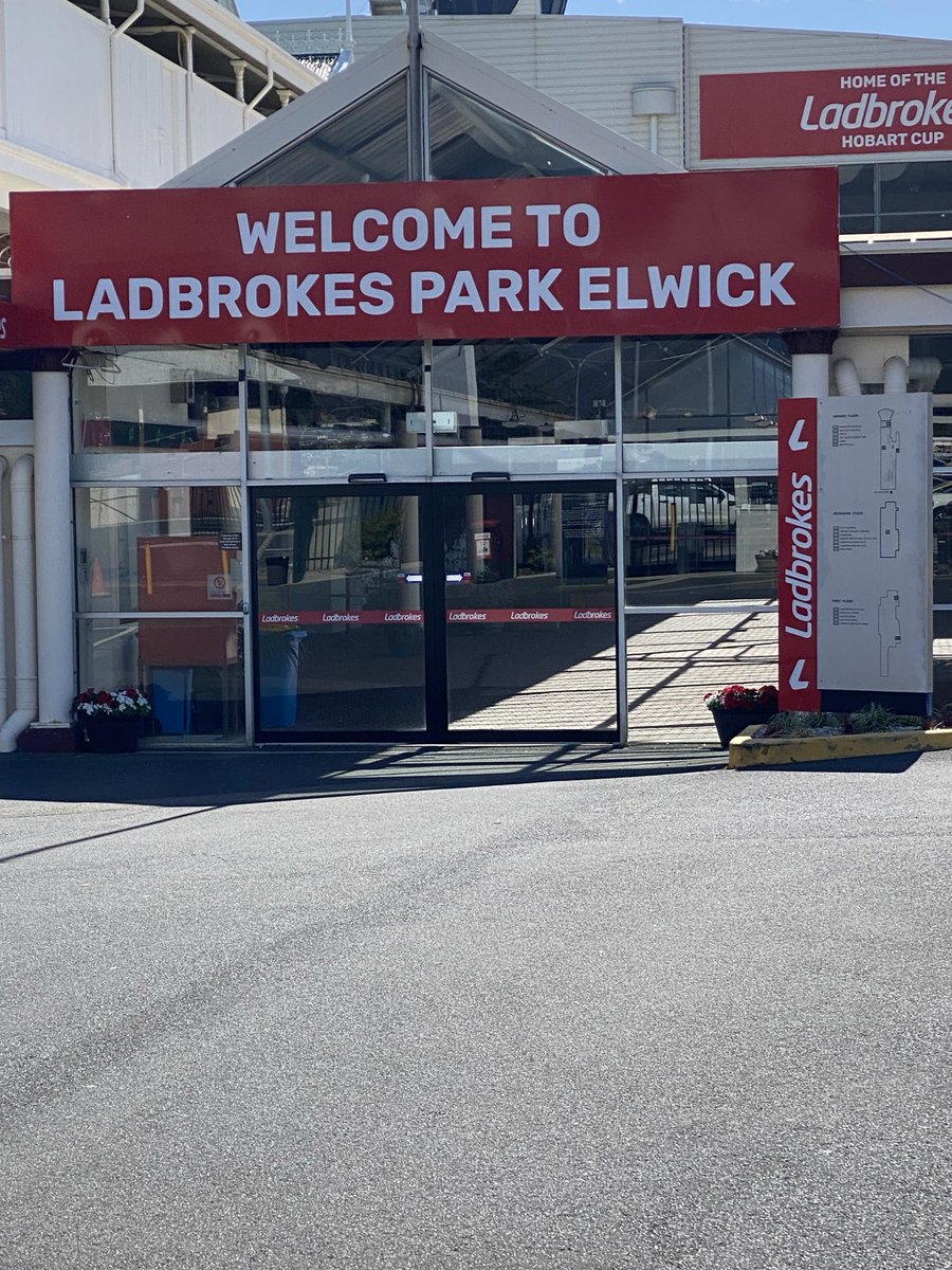 Ready for the first at Hobart races