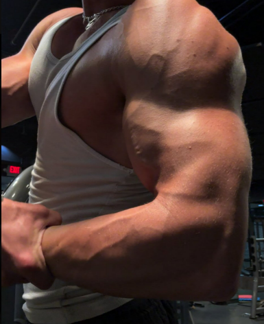 AmericanAlphas1's tweet image. Counting down all my favorite alpha biceps...

@alphaxflex 

Hot huge aesthetic god 💪