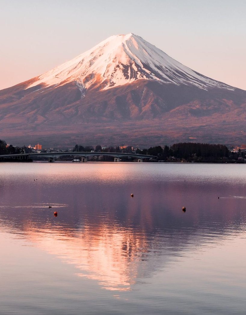歌は甘いです 🐻