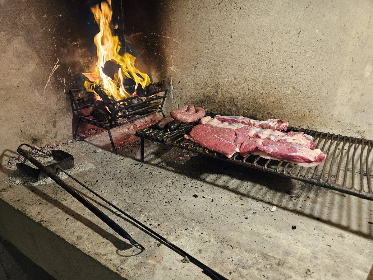 josephmjauregui's tweet photo. Otra buena opción para conseguir carne barata en los pueblos es comprar directo en campo.
A fin de año compramos una media res de novillo de Girolando entre 3 amigos. $10.500/kg.
Nos entregaron todos los cortes en bolsitas para freezer.
Gratamente sorprendido x sabor y calidad. https://t.co/HGUORn03TA
