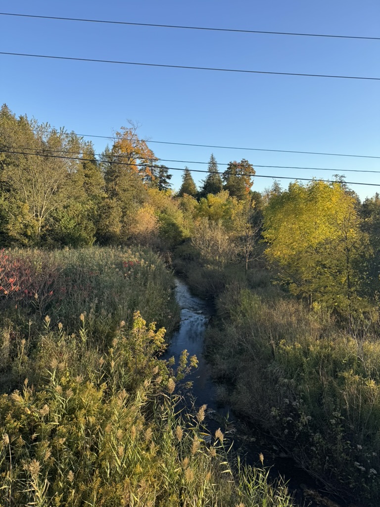 Ashish Selvaraj tweet media