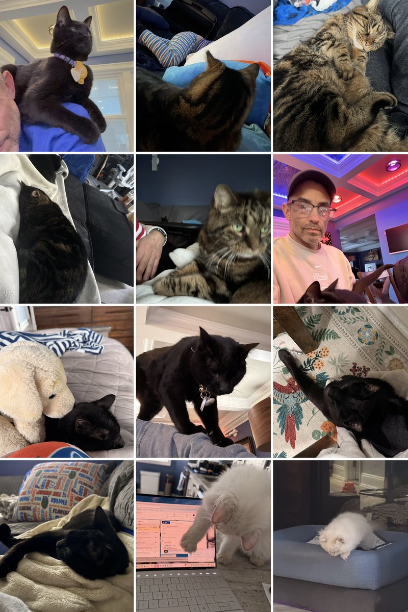 eman1061's tweet photo. @Litter_Robot Thank you for always showing us luv for our paws in our homes from scoops to scoops. Here’s a little thank you to you so fans can write a valentine to their favorite friend. 🐈‍⬛ 

https://t.co/TifyEJqQ8g https://t.co/rHd0kAgIiJ
