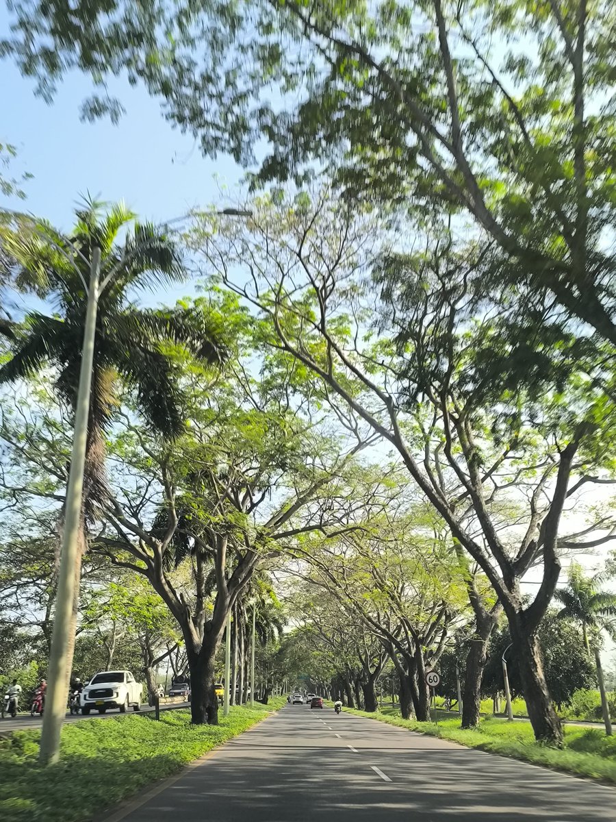 La entrada más bonita a una ciudad en Colombia. Dato, no opinión.
