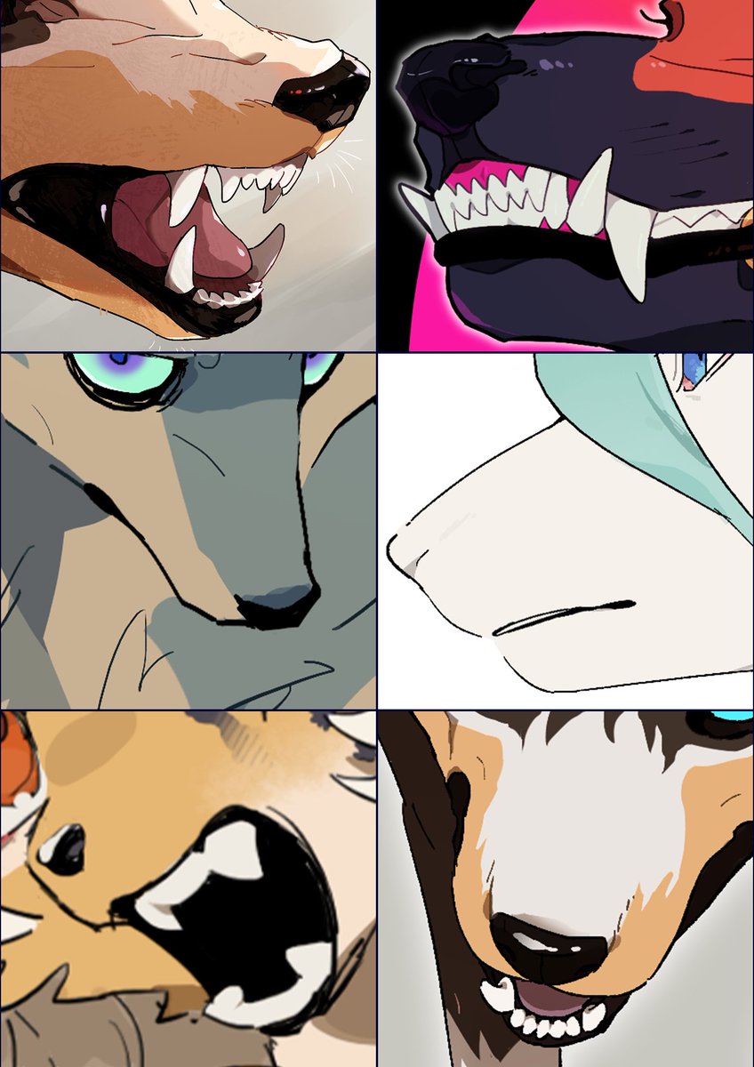 むこいだ tweet media