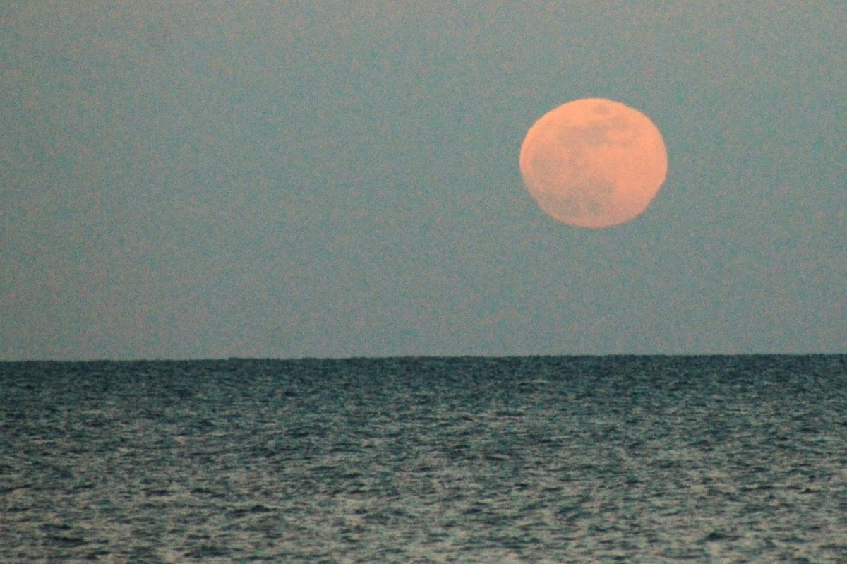 Jim Brown tweet media