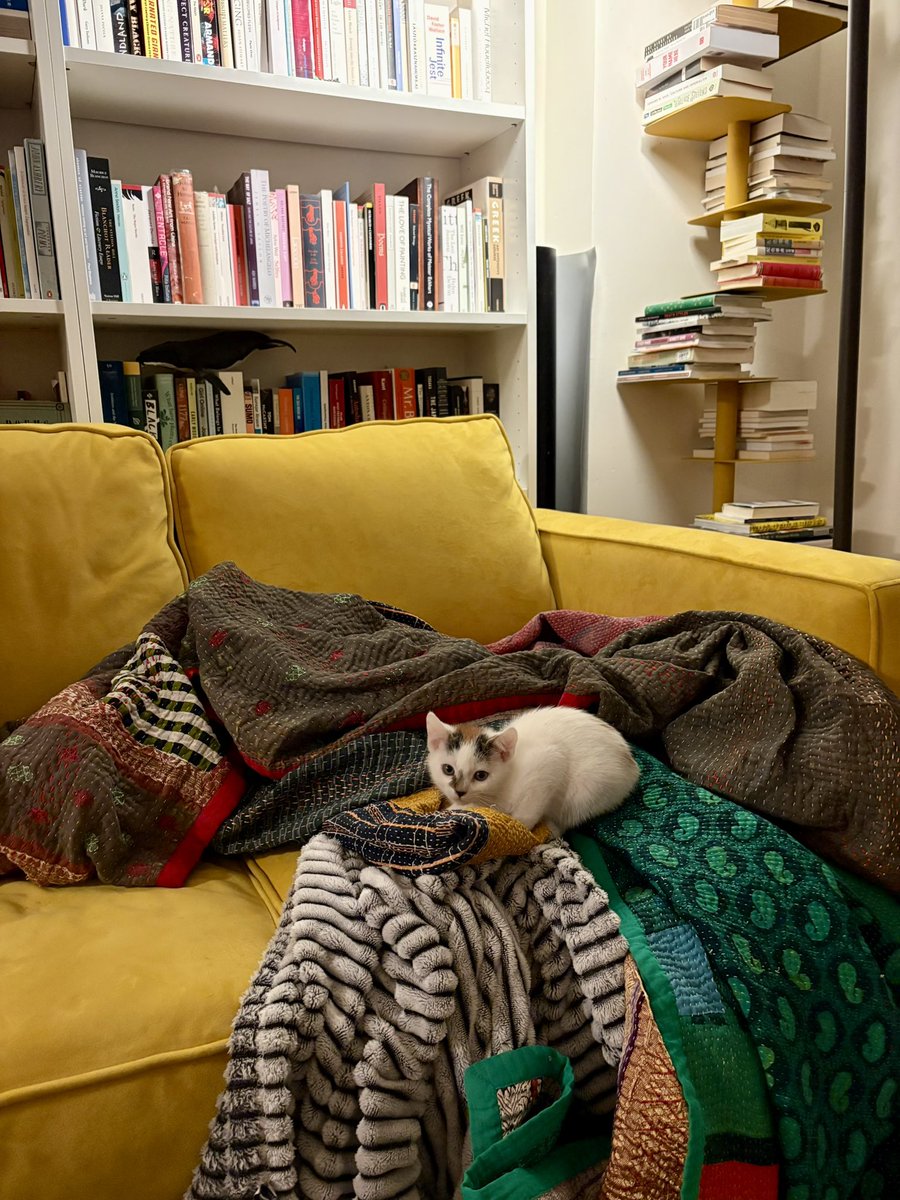 She is discovering the joy of books and textiles!