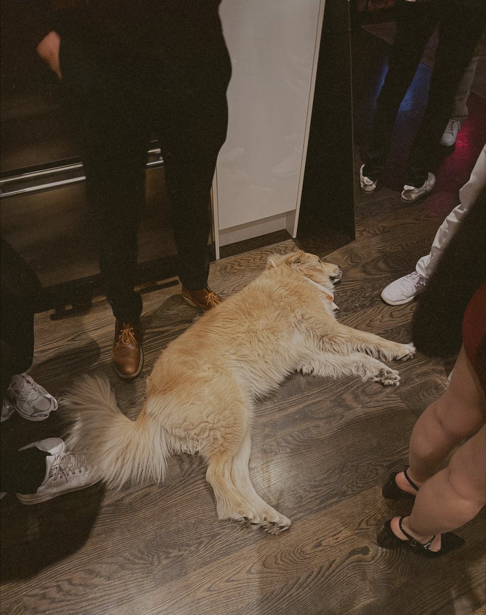 it’s not a party if libby is not there