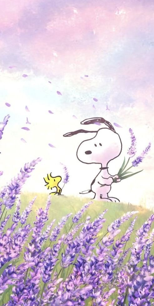 Snoopy (@snoopyb047) on Twitter photo 