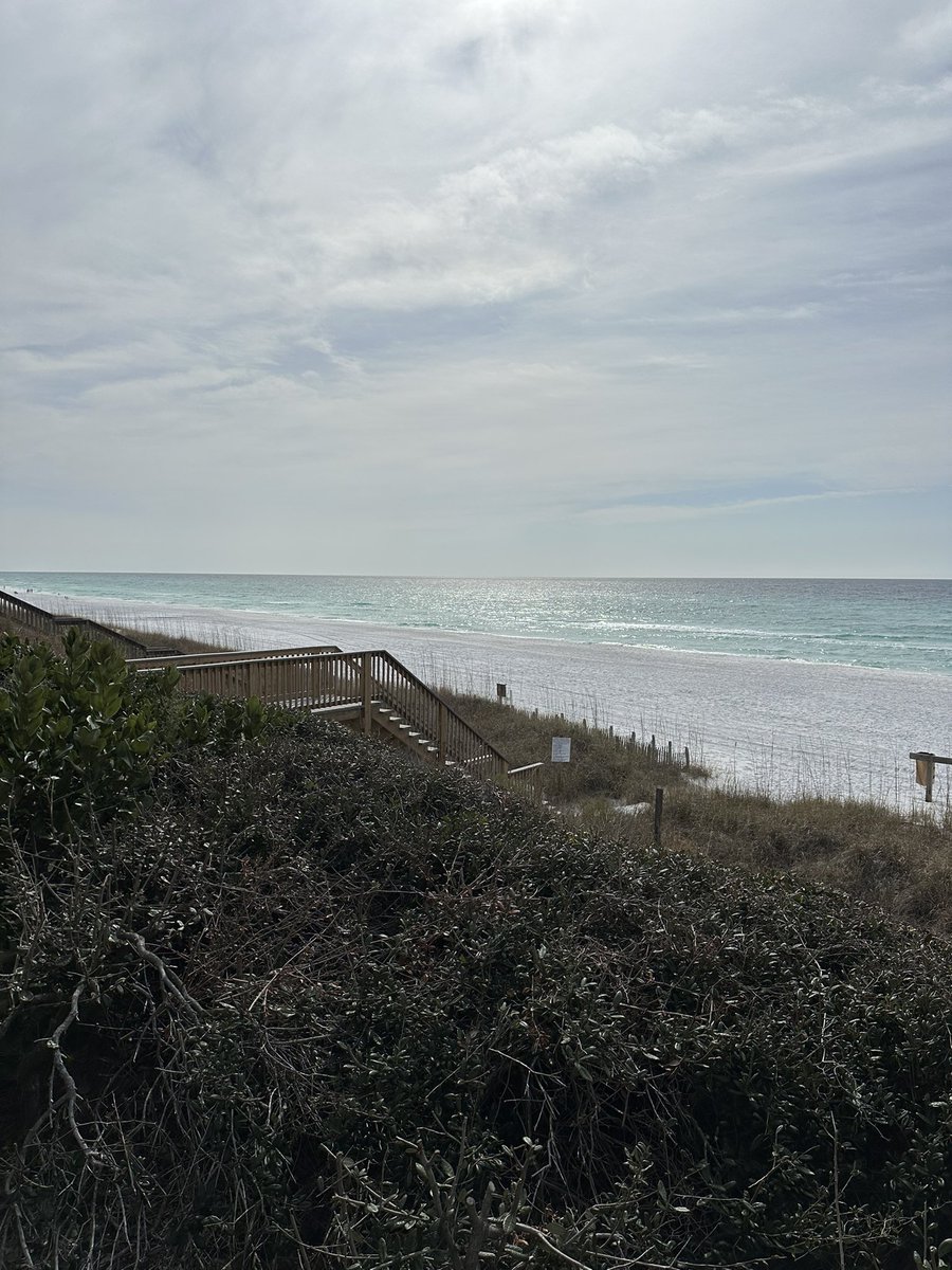 Mike Conti tweet media