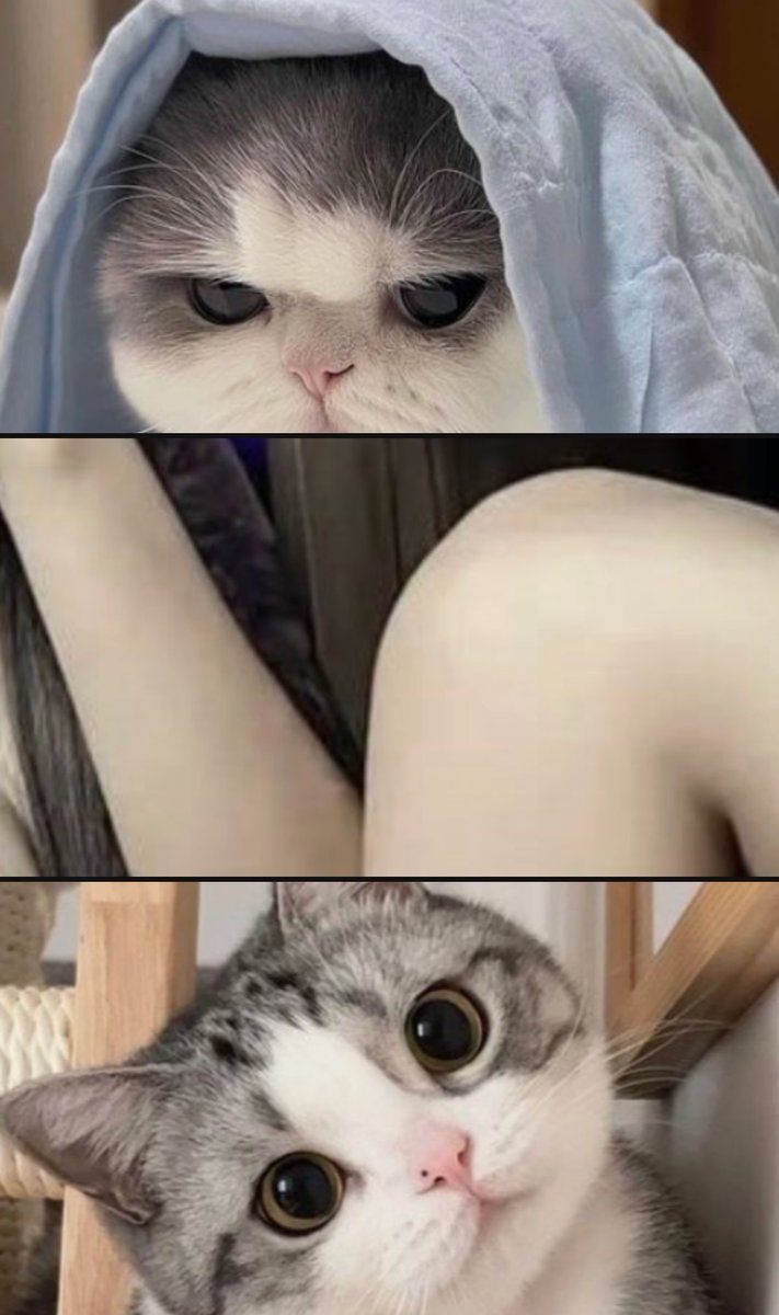 uraakajoshi32_idR tweet media