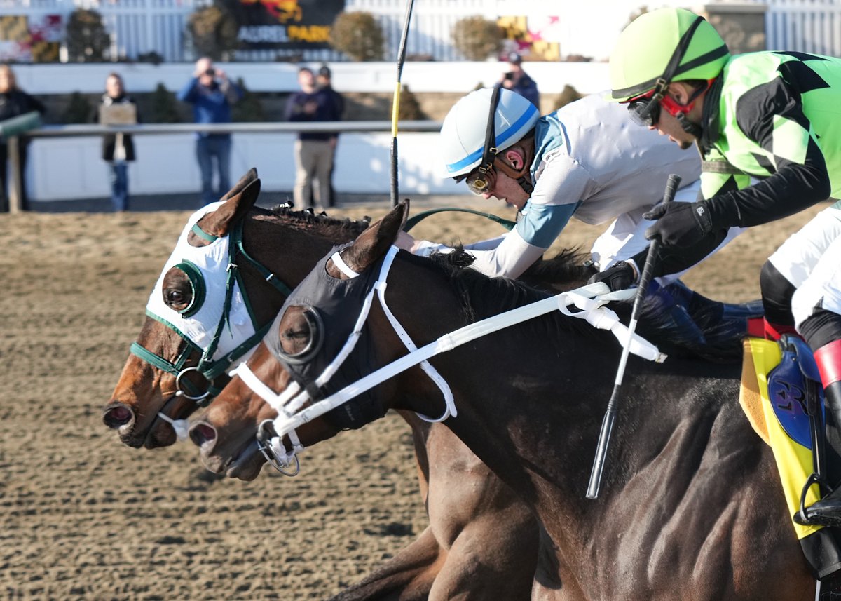 The Maryland Jockey Club, Inc. tweet media