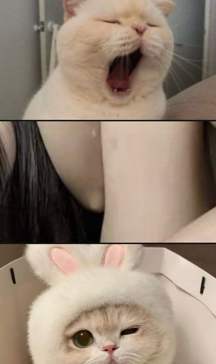 uraakajoshi32_idR tweet media