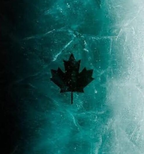 phoenixphotics's tweet image. 丼を買う、冷たい！ 🦄