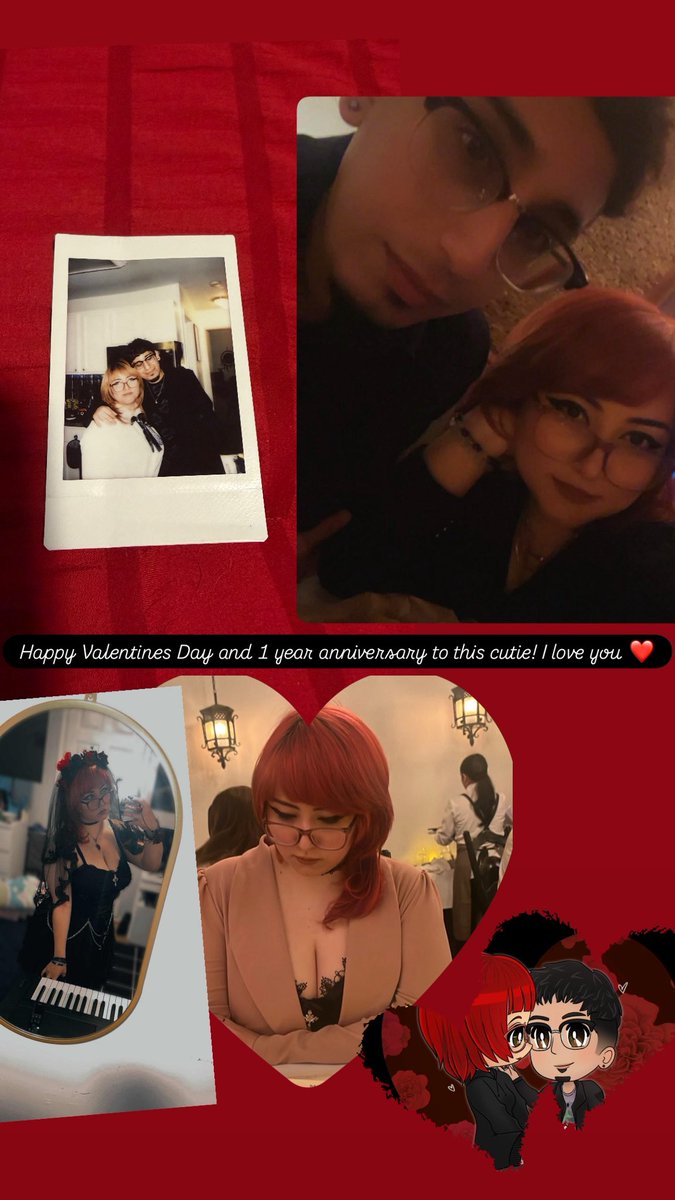 Raptor 【=◈︿◈=】 tweet media