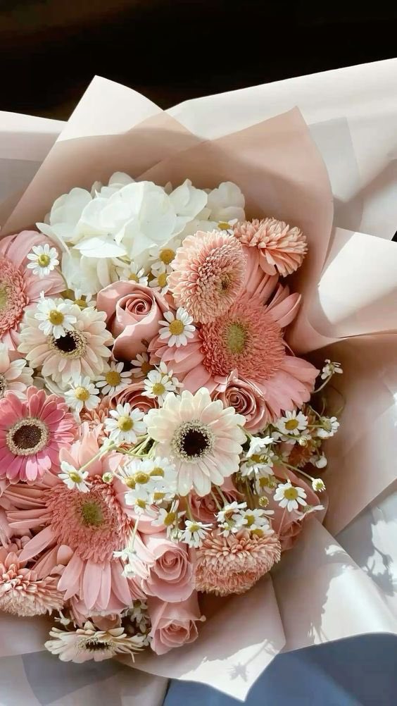 ،، ༢ 𝐻𝐸𝑅𝑀𝐸𝒮 𝐒𝐓𝐎𝐑𝐄 יִ tweet media