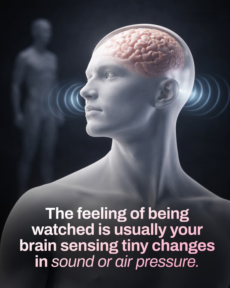 NextScience's tweet photo. 🚨 That Creepy ‘Being Watched’ Feeling Has a Dark Survival Secret

Have you ever suddenly felt like someone was watching you—only to turn around and find nothing there? That eerie feeling isn’t imagination or fear. It’s your brain doing exactly what it evolved to do. Your brain is constantly scanning the world for tiny changes: a faint sound, a shift in light, a subtle movement of air, or a barely noticeable vibration. You don’t consciously notice these signals, but the older, automatic parts of your brain do. When these small clues match patterns linked to another human presence, your brain reacts instantly—before logic has time to speak. It sends you a quiet warning: pay attention. 

This survival system once helped our ancestors sense danger in the dark long before they could see it. Today, it still activates—even in safe places—creating that chilling “I’m being watched” sensation. Your brain isn’t playing tricks on you. It’s protecting you… just a little too well.