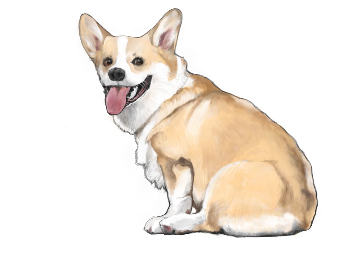 DOG。写真模写。painter2023。