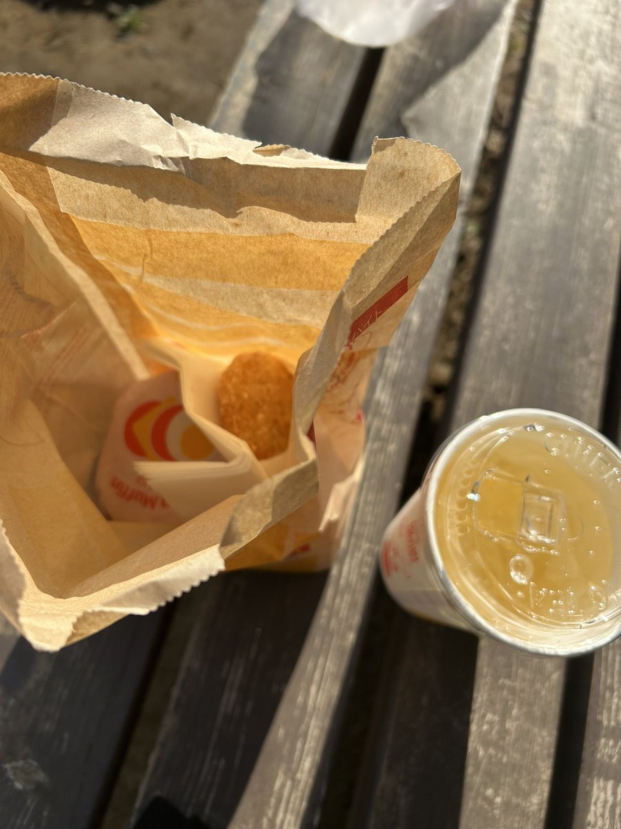 公園で朝マック食べるの俺だけ