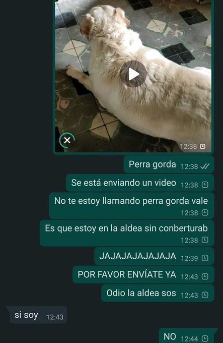 euskadifumar's tweet image. 