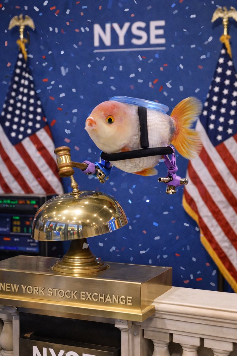 Prints 👑 tweet media