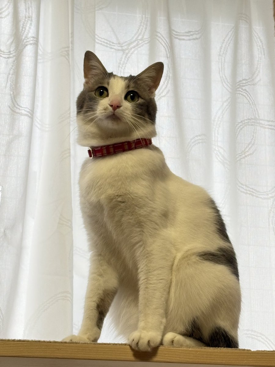 昨日は久々のしもやまへ。