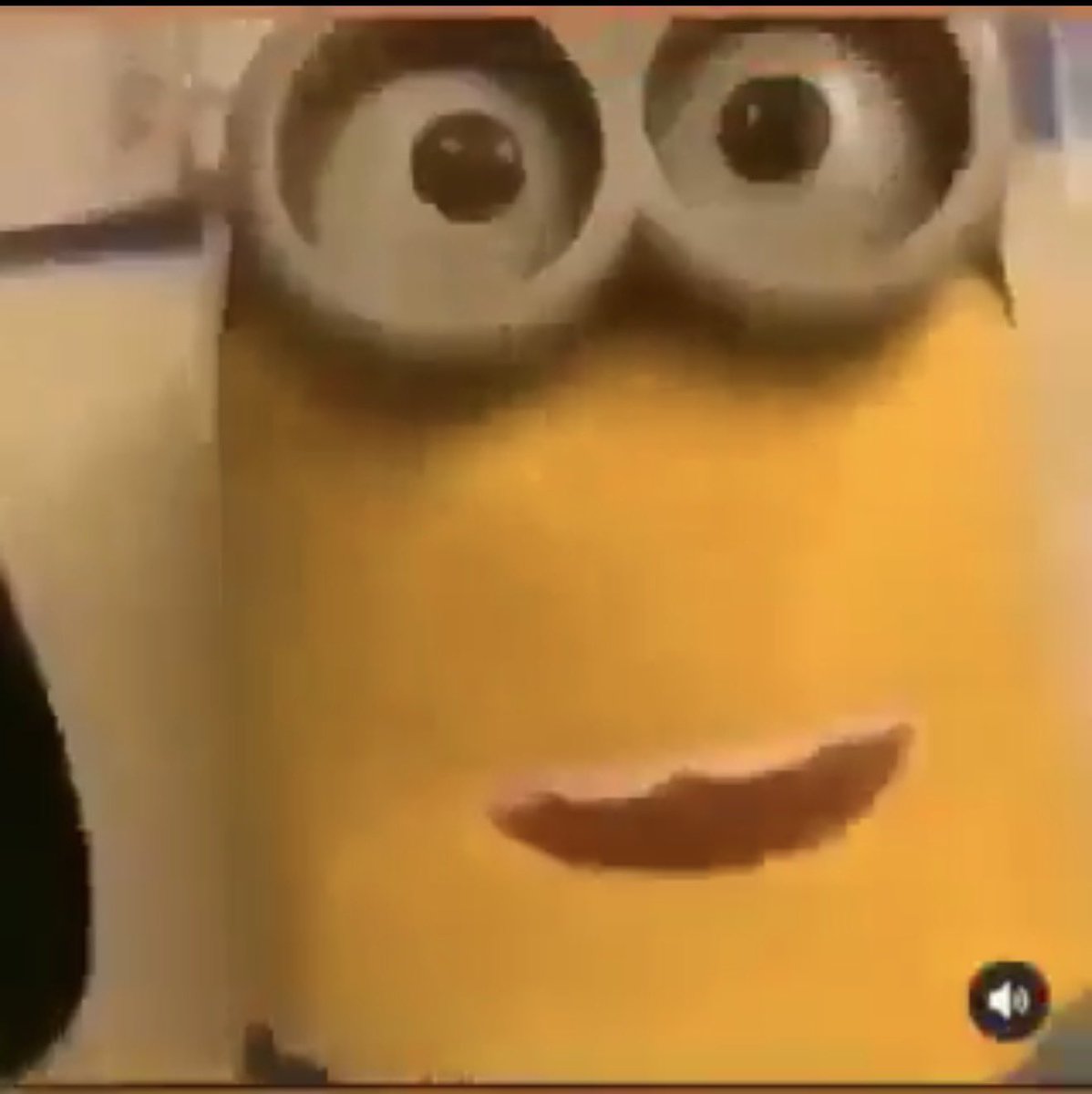 spaghetti tweet media