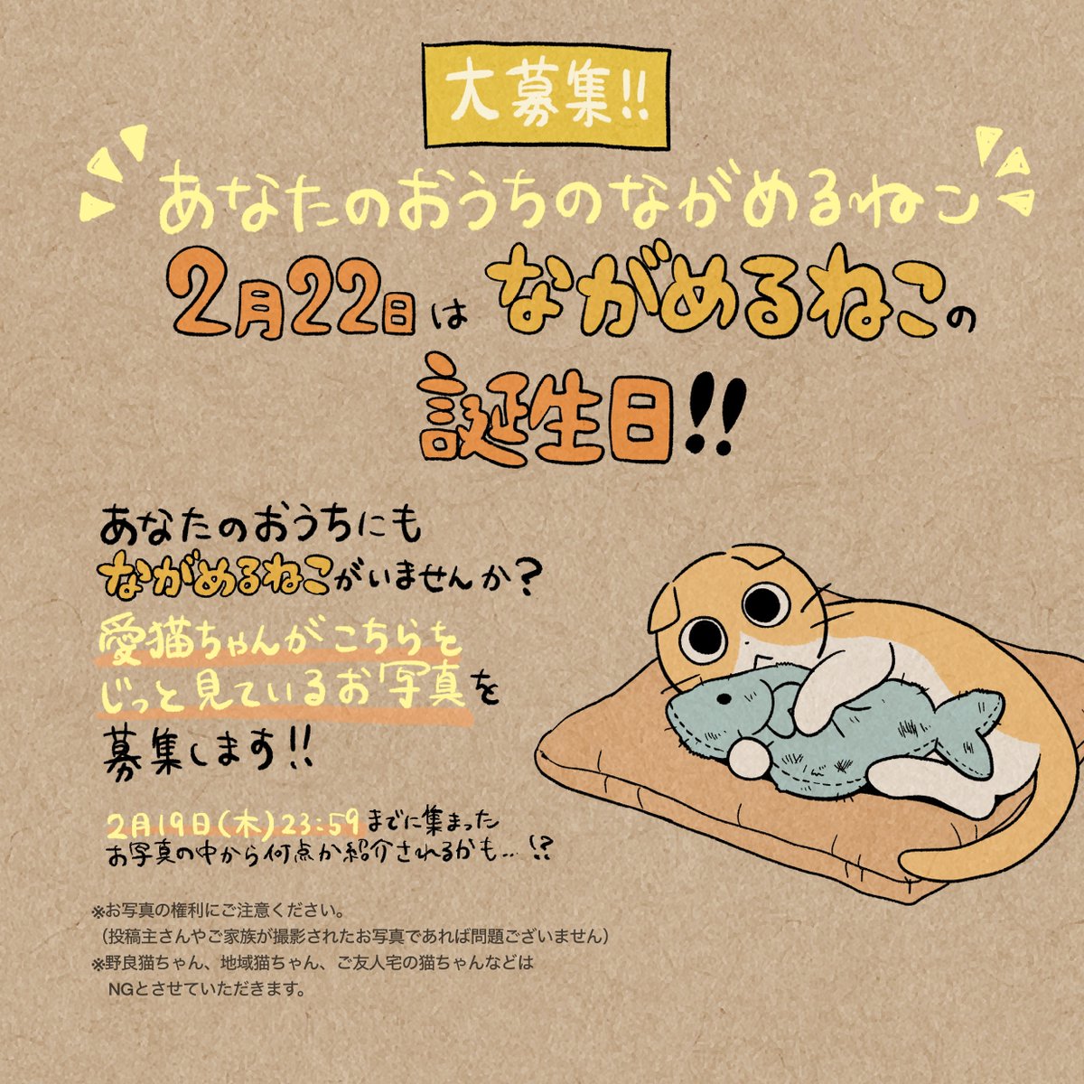 しかるねこ tweet media