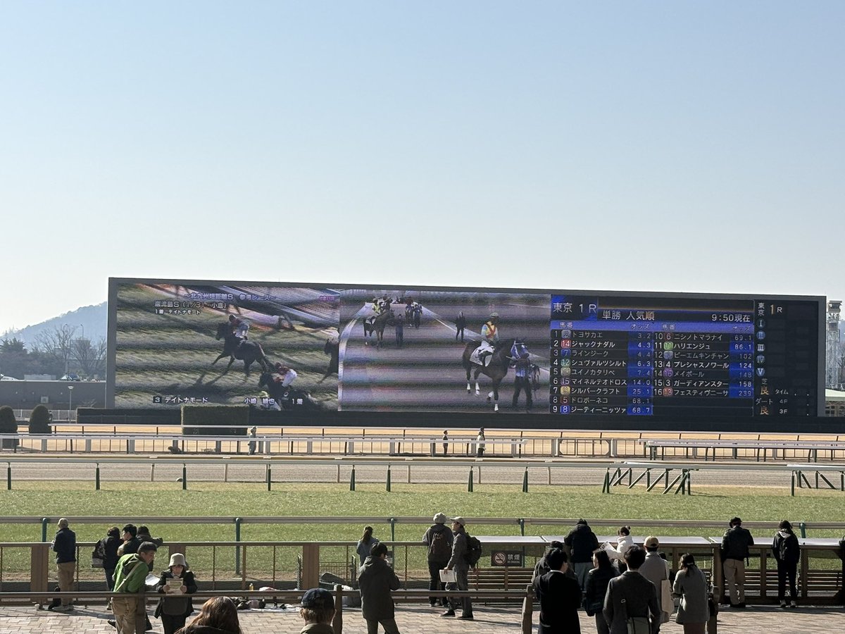 今日はここから！