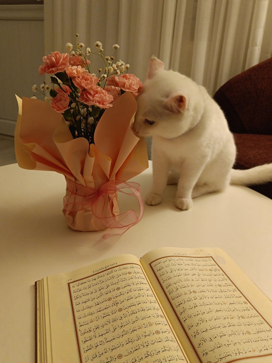 aysekubra___'s tweet photo. Gönülden verilen suya bile hayranım 💗 https://t.co/XTNd03JS4k
