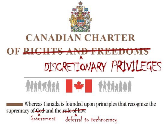 DavidCa86212662's tweet image. 